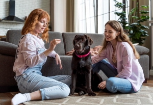 Early socialization for friendly dogs Early socialization for friendly dogs